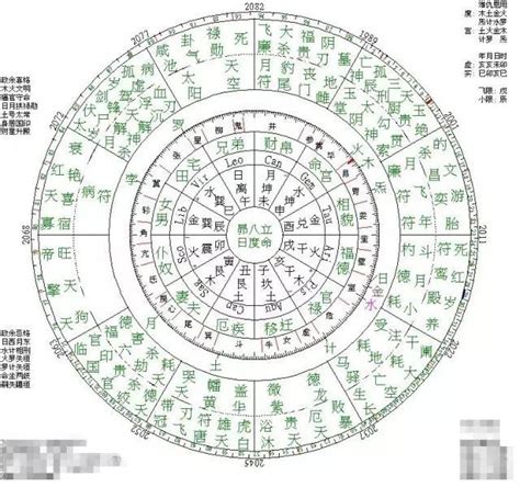 紫微星|紫微斗数在线排盘